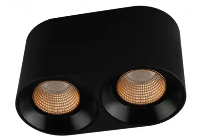 Точечный накладной светильник Denkirs DK3096-BK+BR