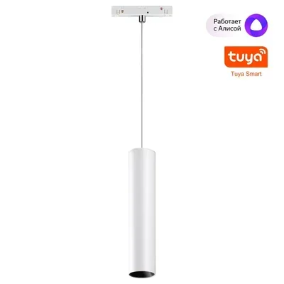 359499 SHINO NT24 000 белый Трековый низковольт. св-к диммир. со сменой цв.температуры, пульт ДУ/Tuya Smart Life IP20 LED 12W 48V 3000-6500K FLUM