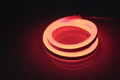 Гибкий неон LM-220V-2835-120P-big size-R, красный, 12х25мм, 1метр