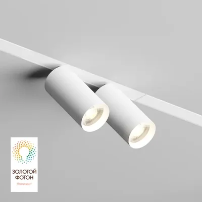 Трековый светильник Denkirs DK8012-WH