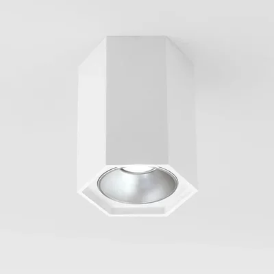 Потолочный светодиодный светильник Elektrostandard 25036/Led 4690389176487