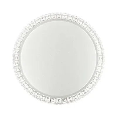 2036/DL PALE SN 145 Светильник пластик/белый/прозрачный LED 48Вт 3000-6300K D400 IP43 пульт ДУ BRISA