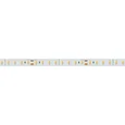 Лента RTW-5000SC 24V Day SP5000-Veg 10mm (2835, 112 LED/m, SHOP) (Arlight, Открытый)