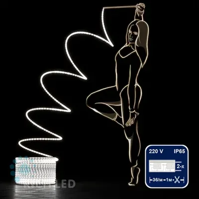 Светодиодный дюралайт Rich LED, 2-х проводной, матовый, белый, кратность резки 1 метр, диаметр 13 мм, 220 В,100 м. RL-DL-2WHM-100-240-W