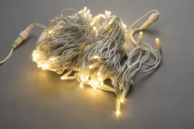 LED-PL-100-6-240V/WW 18/WH/100LED/15M