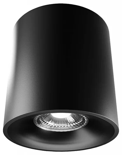 Накладной светильник LIGHTERA Shamrock LE201CL-1BB