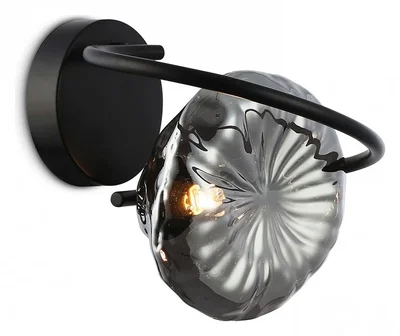 Светильник настенный LH15005 BK/SM черный/дымчатый G9 max 40W 195*210*170