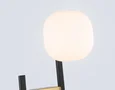 Светильник настенный LH51019/2 BK/BS/FR черный/латунь/белый матовый G9*2 max 28W 230*170*480