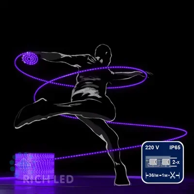 Светодиодный дюралайт Rich LED, 2-х проводной, фиолетовый, кратность резки 1 метр, диаметр 13 мм, 220 В, 100 м. RL-DL-2WH-100-240-V