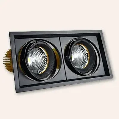 Карданный светодиодный светильник 220 Вольт, 50 Ватт, 12/24/38/60, IP20, FLED-DL 002-25x2-BL-3000К