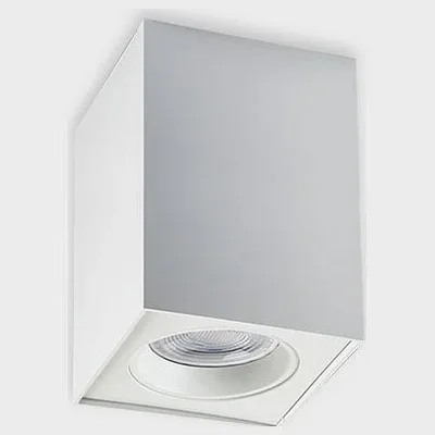 M02-70115 white Светильник потолочный