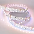 Лента RT-B144-19mm 24V RGBW-Warm (32 W/m, IP20, 5060, 5m) (Arlight, Открытый)