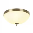 MyFar Потолочный светильник Biene MR1528-4C