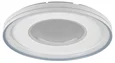 Потолочный светодиодный светильник Despina MR9090-CL