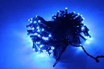 LED-PL-100-10M-240V-B/BG, 100LED. 10M LED 5ММ