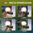 НБУ 01-60-205 ЭРА Светильник садово-парковый, шар дымчатый с настенным крепежом D=200 mm, Е27 (2/60) Б0048082