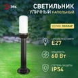 Садово-парковый светильник ЭРА НТУ 01-60-011 Поллар 1116