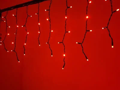 LED-RPLR-160-4.8M-240V-R/BL красные светодиоды/черный провод