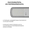 O29-01 Светильник светодиодный, уличный, консольный 50Вт, 180-265/50Гц, 5000лм, 5000К, IP66, КСС Ш, D60мм, серый