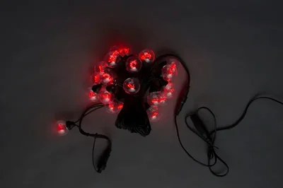 LED-2BLR-50CM-10M-240V-R, Белт-лайт с лампами, красный/черный пр.