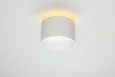 Светильник настенно-потолочный Omnilux OML-100419-16