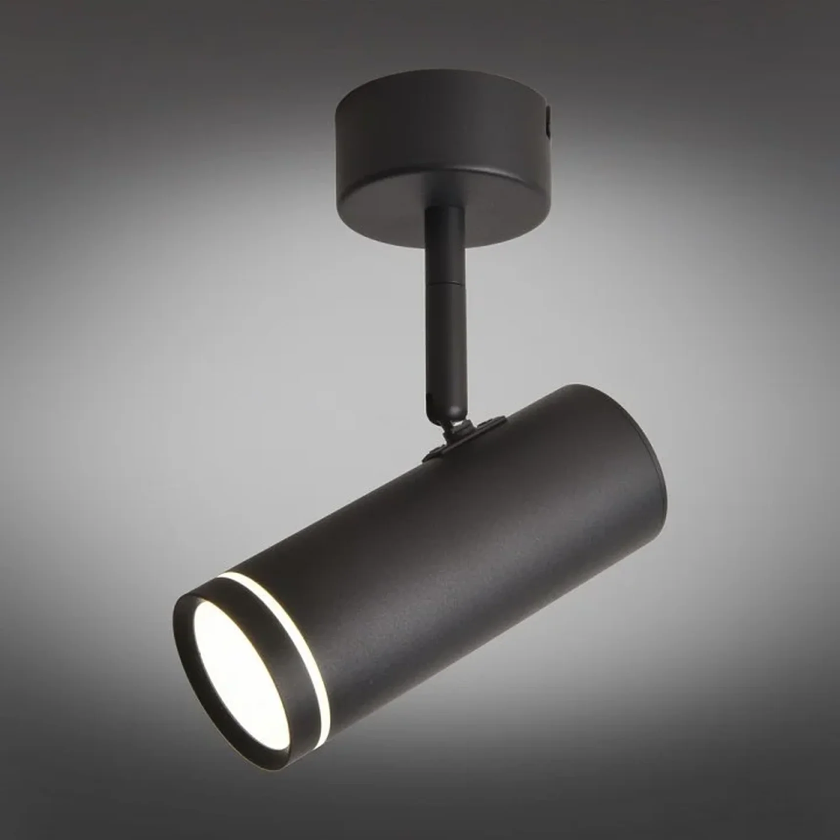 Светильник настенно-потолочный Omnilux OML-102209-12