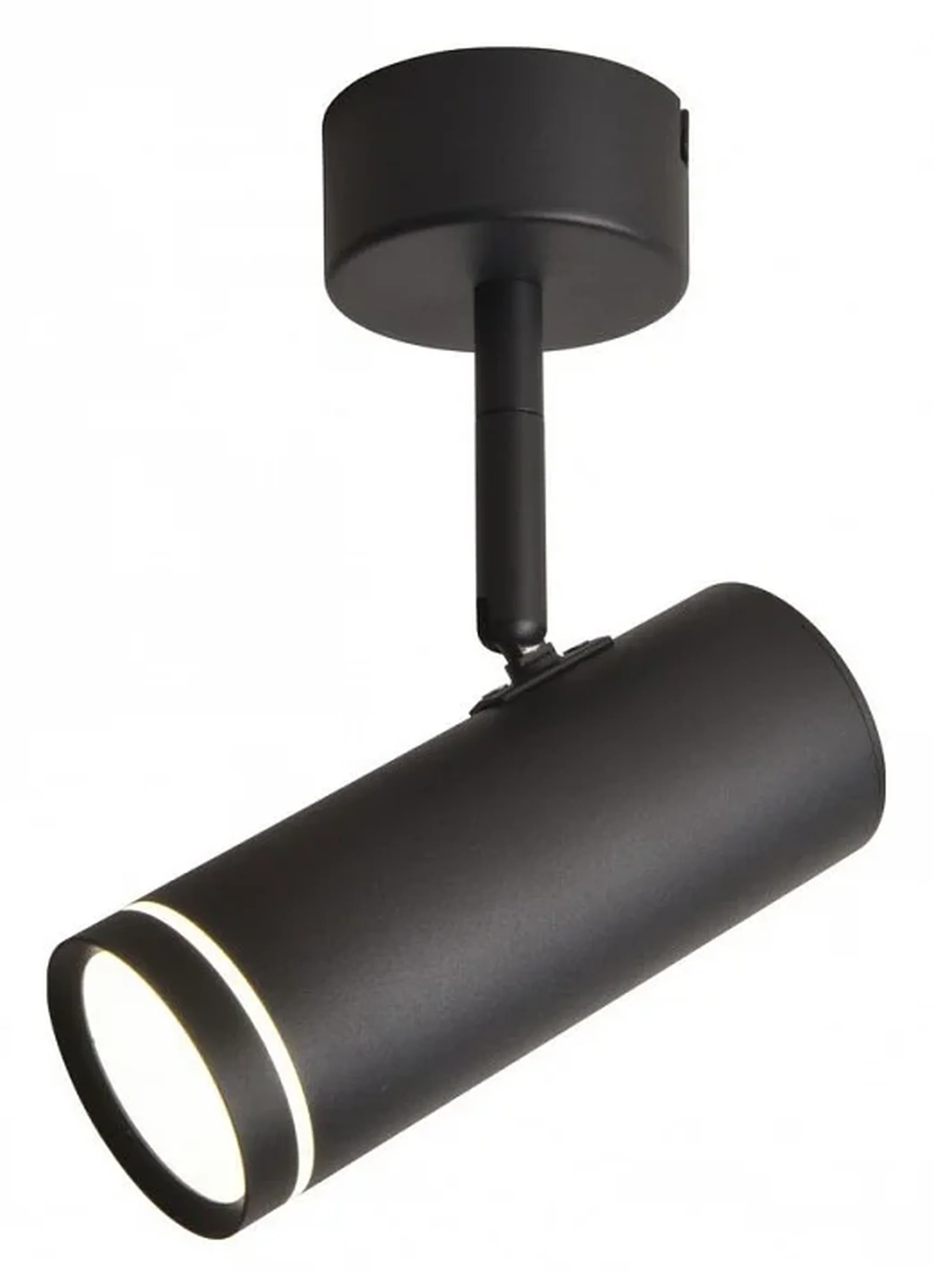 Светильник настенно-потолочный Omnilux OML-102209-12