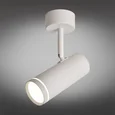 Светильник настенно-потолочный Omnilux OML-102219-12