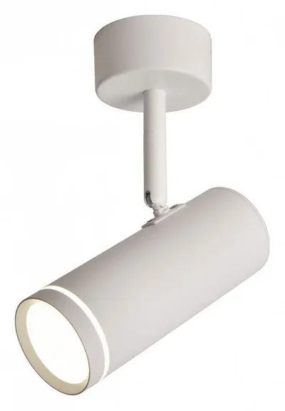 Светильник настенно-потолочный Omnilux OML-102219-12