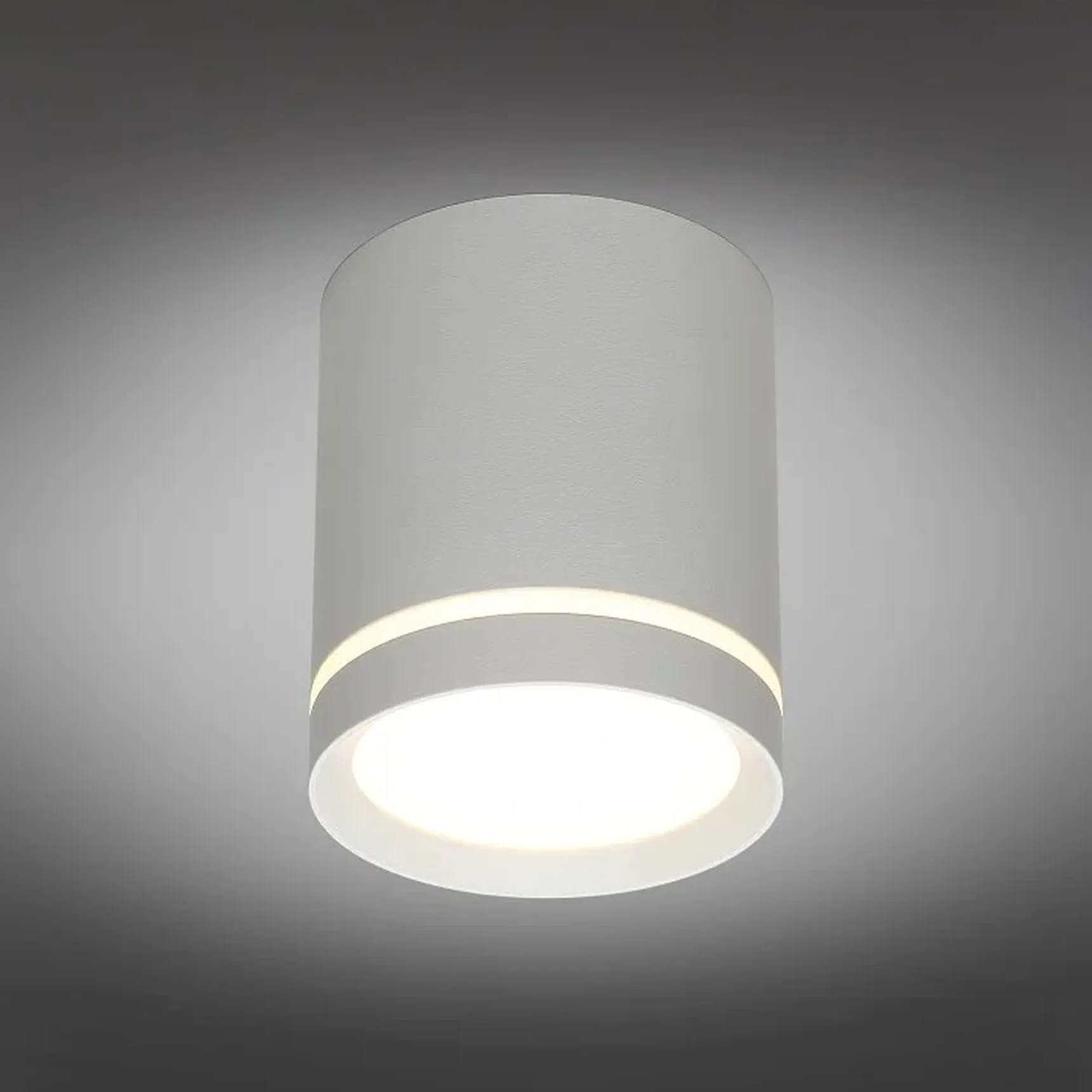 Светильник настенно-потолочный Omnilux OML-102429-05