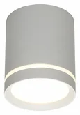 Светильник настенно-потолочный Omnilux OML-102429-05