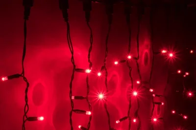 LED- PLS-1920-240V-2*1,5М-R/BL-С (красные светодиоды/черн пр) с контроллером