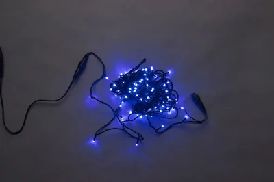 LED-PLS-100-10M-240V-B/BL-W/O, синяя / черный провод, соединяемая (без силового шнура)