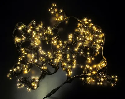 LED- PL-5720-2*5M-240V-WW/BL-T (тёплые белые светодиоды/черн пр)