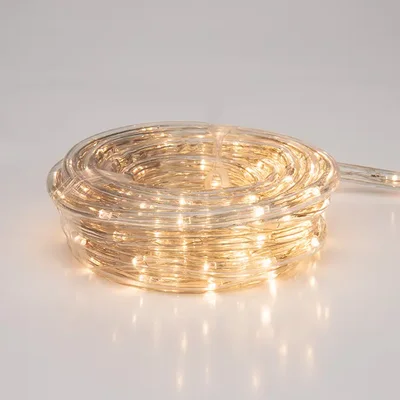 Дюралайт LED, свечение с динамикой (3W), 24 LED/м, ТЕПЛЫЙ БЕЛЫЙ, 6м