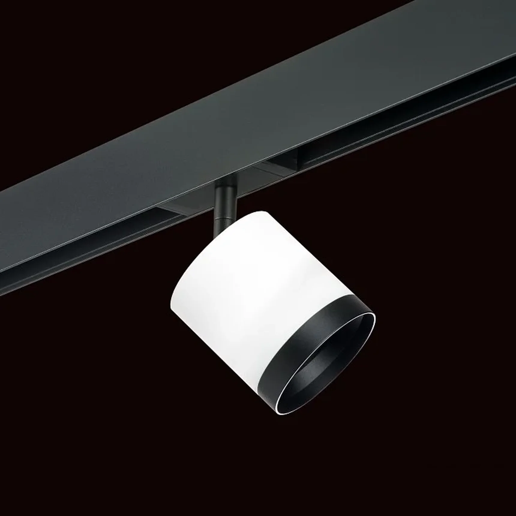 PRO34863487 Светильник д/1-фазн трека RULLO GX53