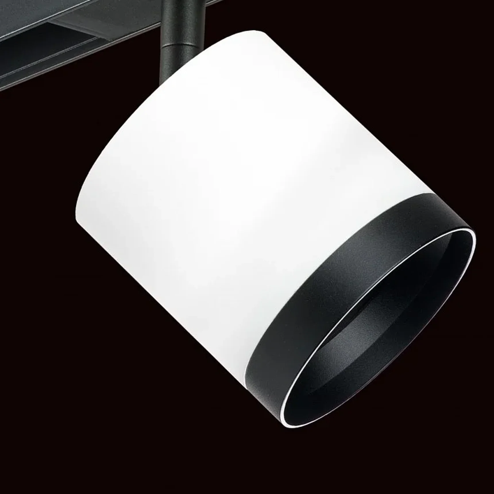 PRO34863487 Светильник д/1-фазн трека RULLO GX53