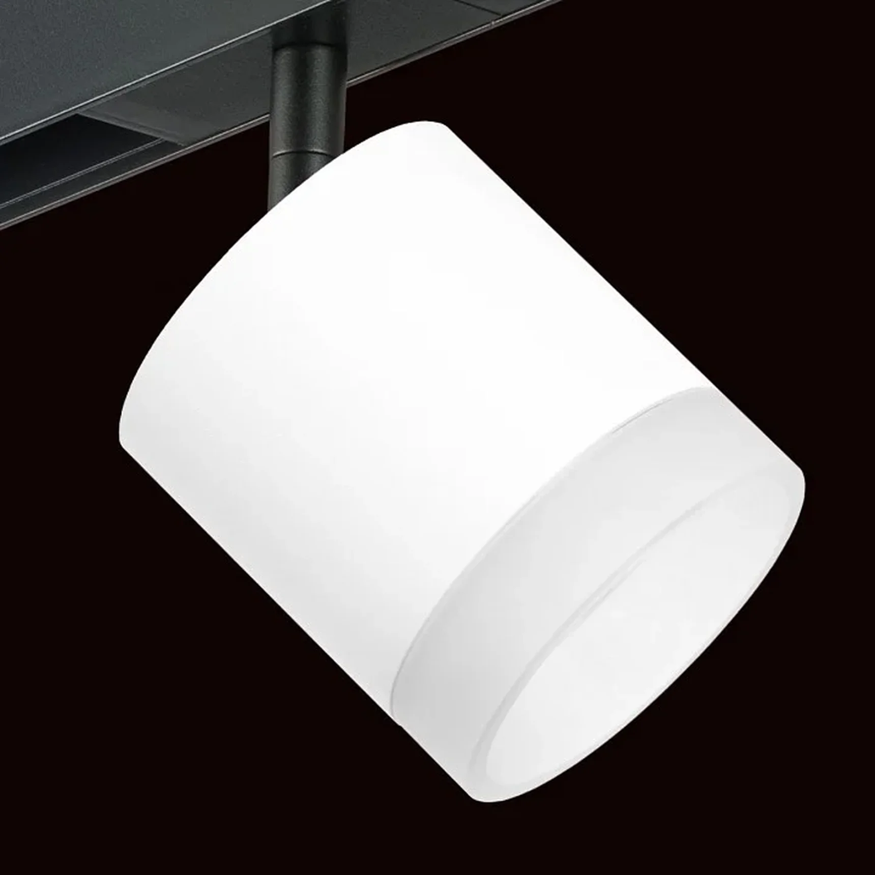 PRO348680 Светильник д/1-фазн трека RULLO GX53
