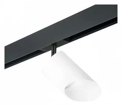 PRO348686 Светильник RULLO GX53