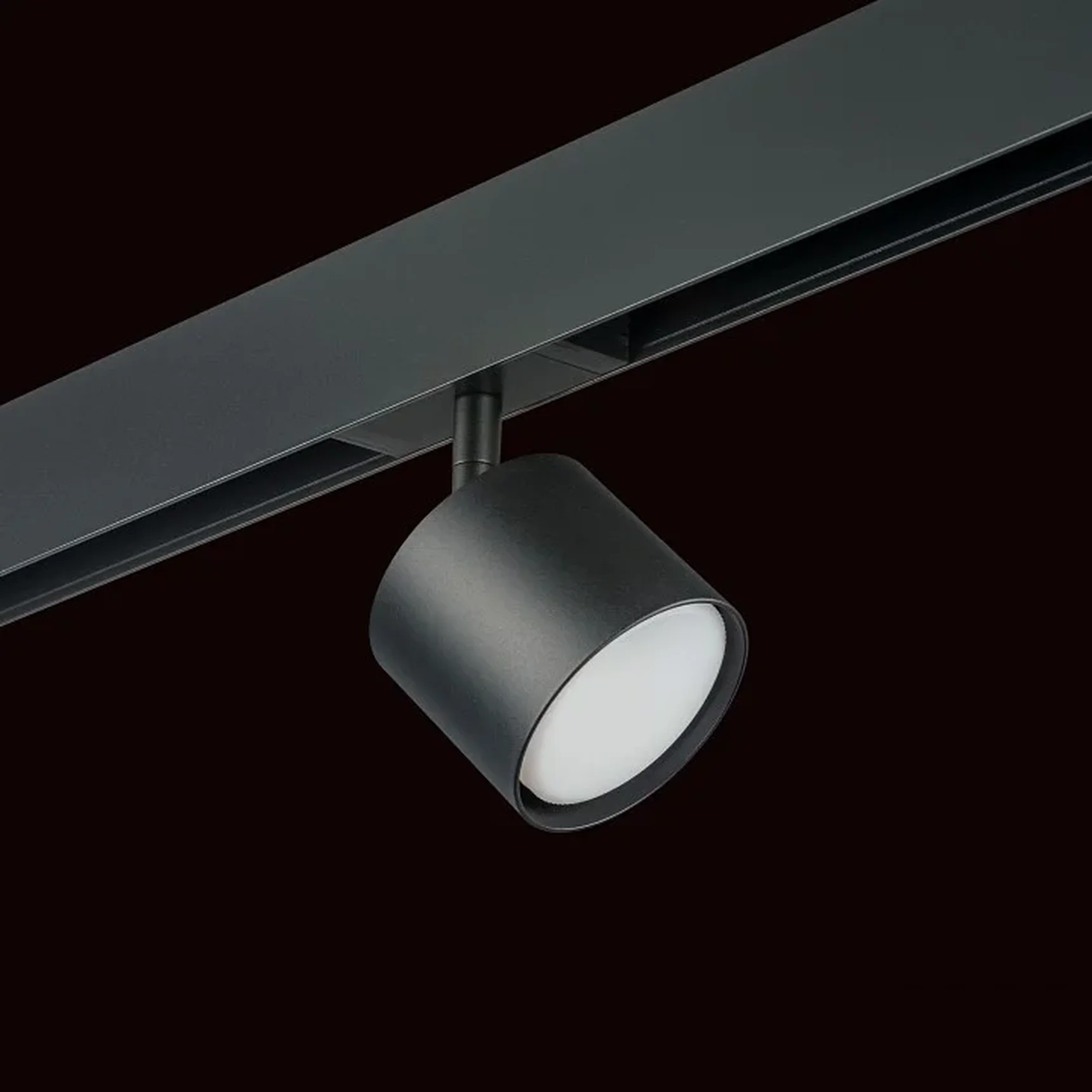 PRO3487 Светильник д/1-фазн трека RULLO GX53