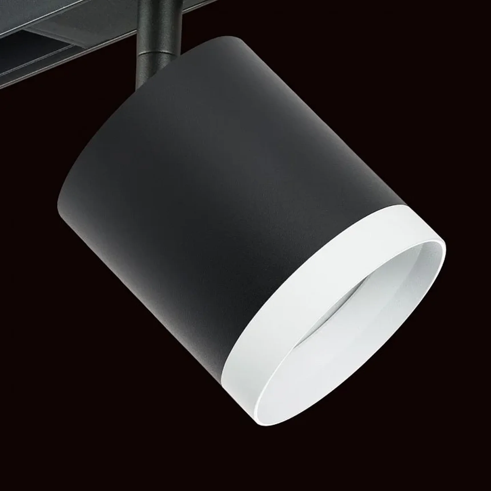 PRO34873486 Светильник д/1-фазн трека RULLO GX53