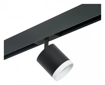 PRO34873486 Светильник д/1-фазн трека RULLO GX53