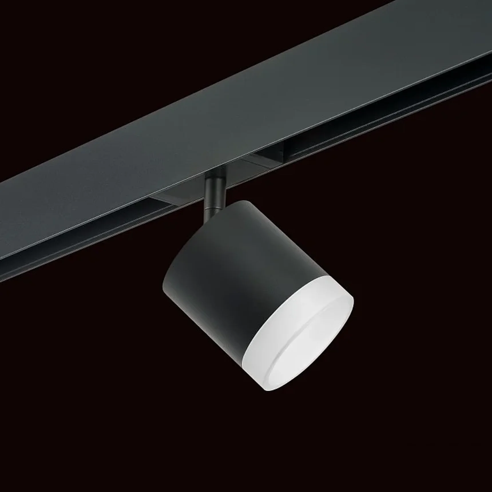 PRO348780 Светильник д/1-фазн трека RULLO GX53