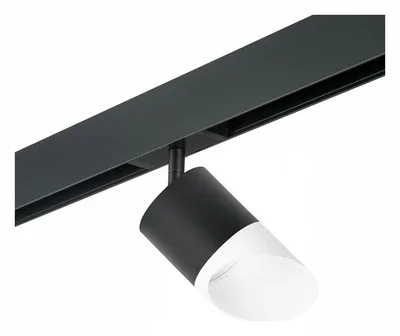 PRO348786 Светильник д/1-фазн трека RULLO GX53