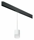 PRORP348681 Светильник д/1-фазн трека RULLO GX53