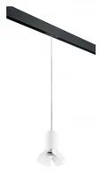 PRORP436436 Светильник д/1-фазн трека RULLO HP16