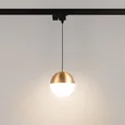 Светильник LGD-EMISFERO-TRACK-HANG-2TR-R150-11W Warm3000 (GD, 170 deg, 230V) (Arlight, IP20 Металл, 3 года)