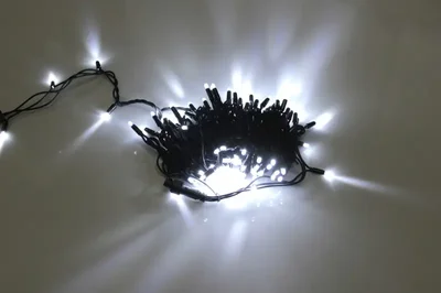 LED-PLR-100-10M-240V-W/BL-W/O, белая/черный провод, соединяемая (без силового шнура)