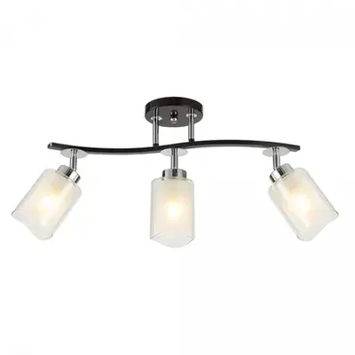 Спот Citilux Фортуна CL156132