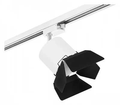 R1T3486487 Светильник RULLO GX53